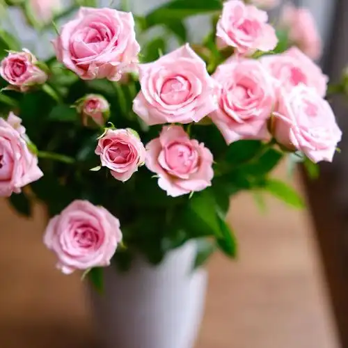 乐作flora温柔水晶多头玫瑰鲜切花粉粉色10枝花卉