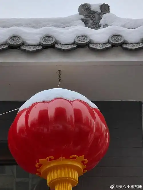没有能在飞雪中看龙灯和宫墙  随手拍的融雪中的小区的红灯笼,  依然