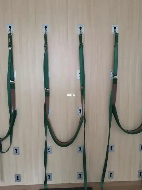 艾扬格墙绳—有一点喜欢