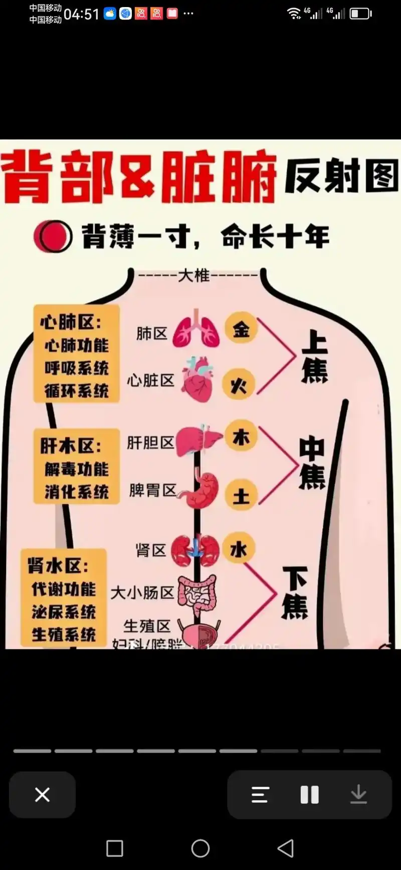 让大家更容易记住的一句话:多做背部疏通,不生病. - 抖音