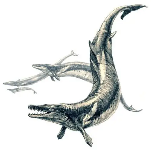 p>龙王鲸(学名:basilosaurus,意为帝王 a target="_blank" href="