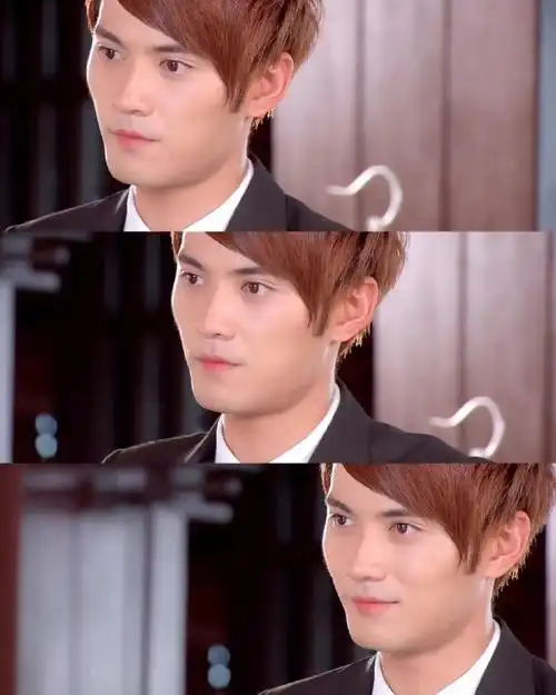 季如风 白月光##徐正溪退圈