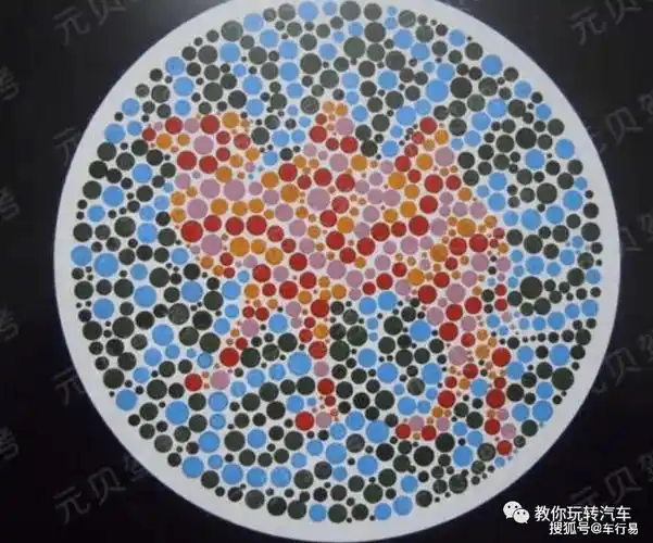 车管所新版色盲测试图,看不出这些,就基本告别方向盘了!