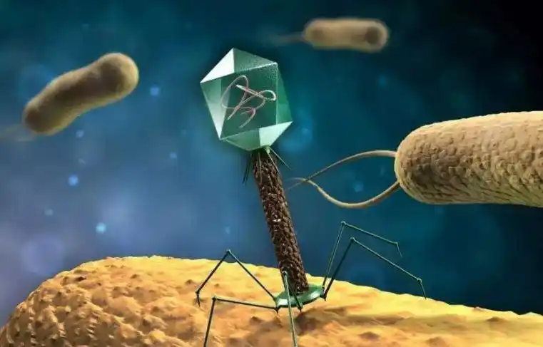 六清云态抗菌抗病毒纳米材料飞机机舱内可持续灭杀致病细菌的效果显著