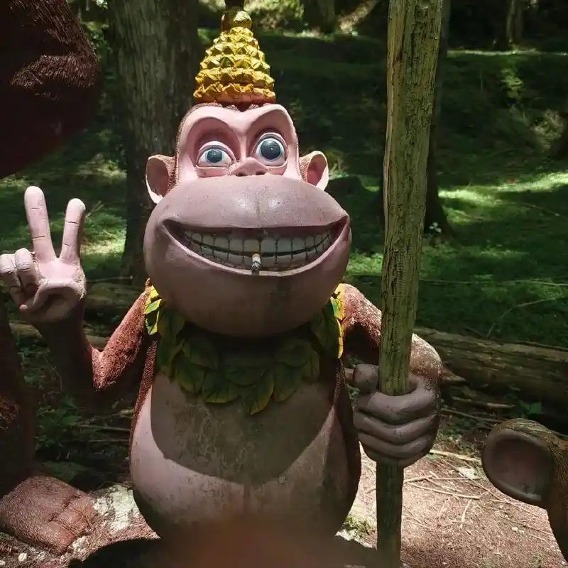 吉吉国王都这么开心了,我怎么能不开心了99#吉吉国王 #熊大 - 抖音