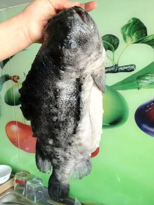 这是什么鱼啊?最好怎么做
