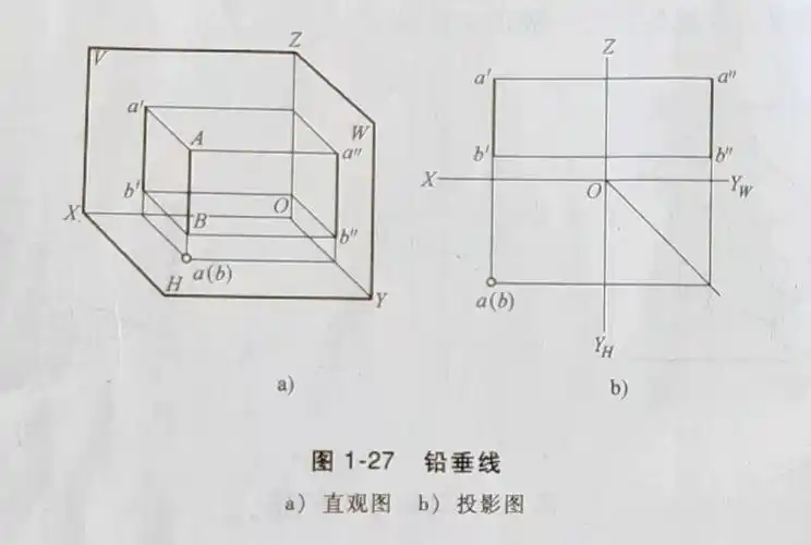 称为正垂线;垂直 于h面的直线称为铅垂线;垂直于w面的直线称为侧垂线