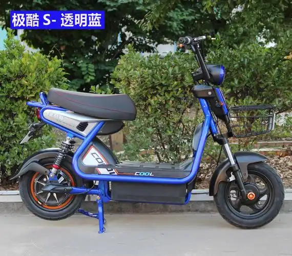 极酷s二代 极酷s 电单车 简易款电动车 电动车厂家批发