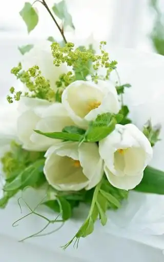 淡雅花艺花的彩绘壁纸