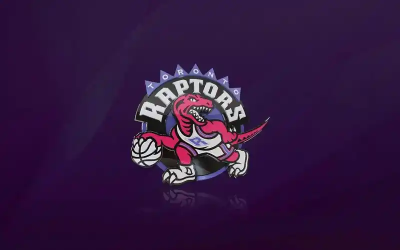 nba球队队史标志性十人——多伦多猛龙