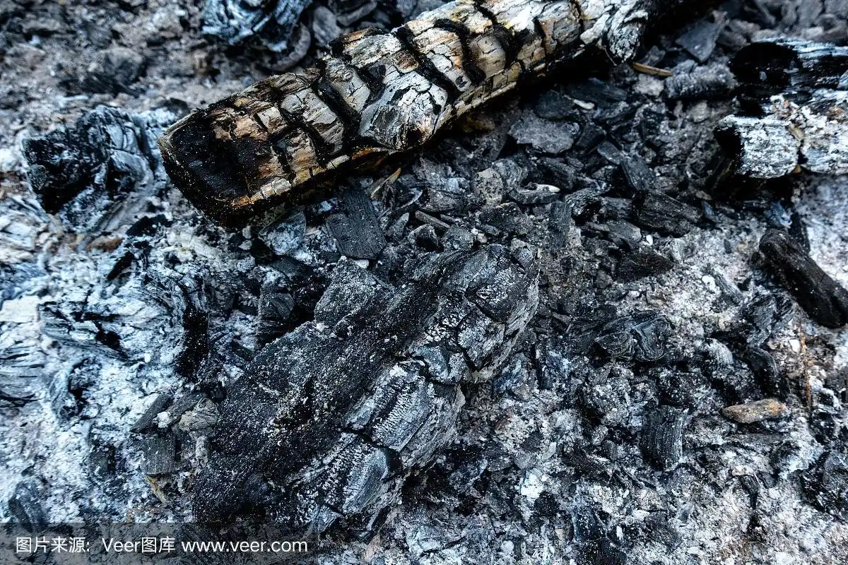 烧焦的木头和灰烬的特写