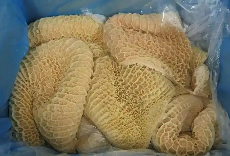 养牛先养胃要想养好牛就得先了解牛胃丨养牛学堂