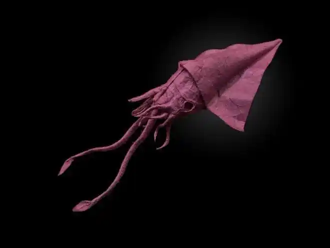 折纸立体仿真乌贼