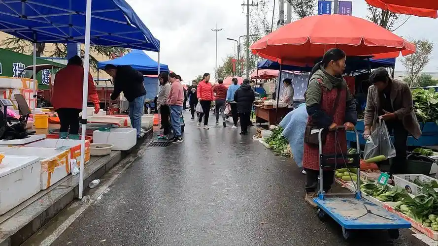 浙江金华乡镇集市,现场状况是这样子的,让人心酸