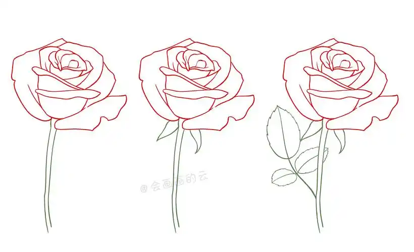 玫瑰花简笔画图片大全(教你如何用简笔画的方式画2朵玫瑰花) - 赤虎壹