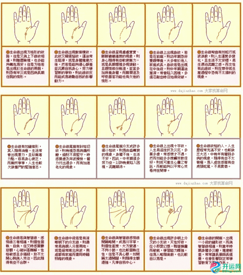 女人手掌生命线图解生命线分叉20种图解