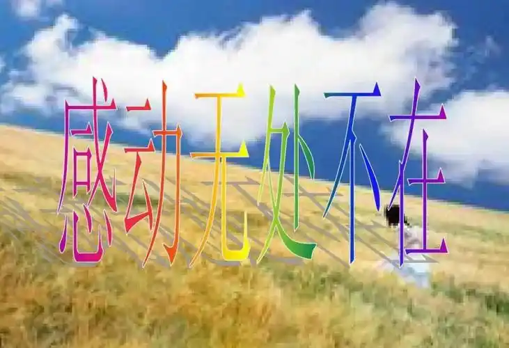 感动的故事作文300字 篇1