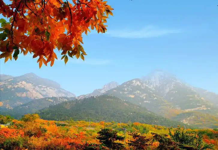 我带大家去旅游(山东篇)—泰山脚下观秋色