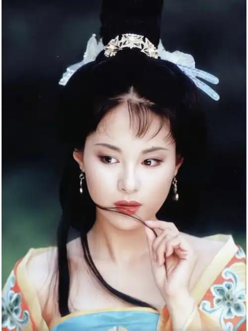 永远的高阳公主沈傲君