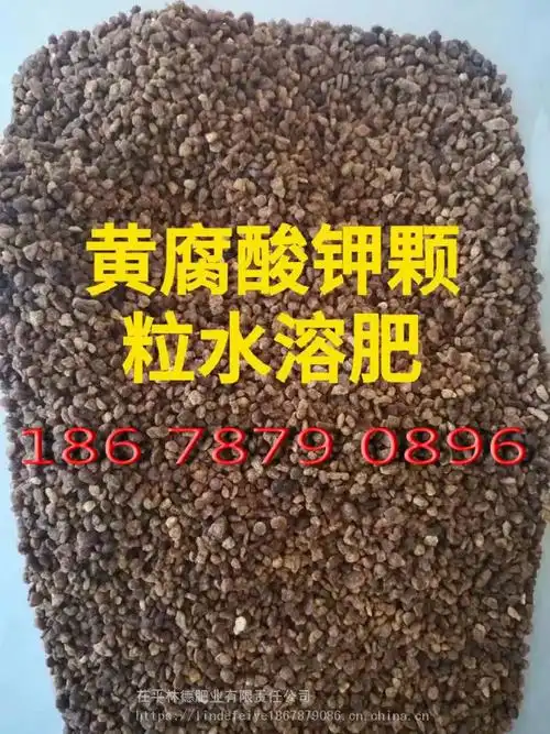 【茌平林德肥业黄腐酸颗粒水溶肥】图片