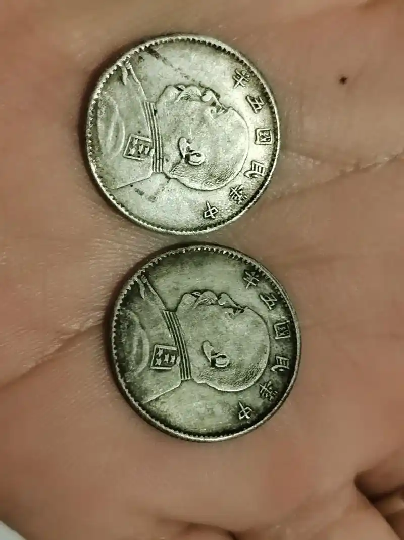 古钱币 #银元 #古玩 袁大头二角,原汁原味老包浆,真香! - 抖音