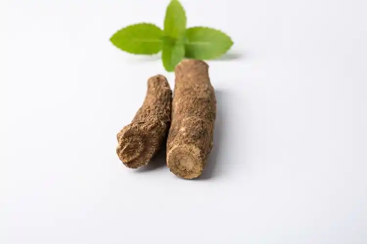 中药材 木香_纪实_poco摄影,木香,中药材