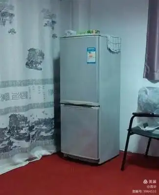 妻子还是下决心用多年积攒的1350元购买了一台208升琴岛利勃海尔冰箱