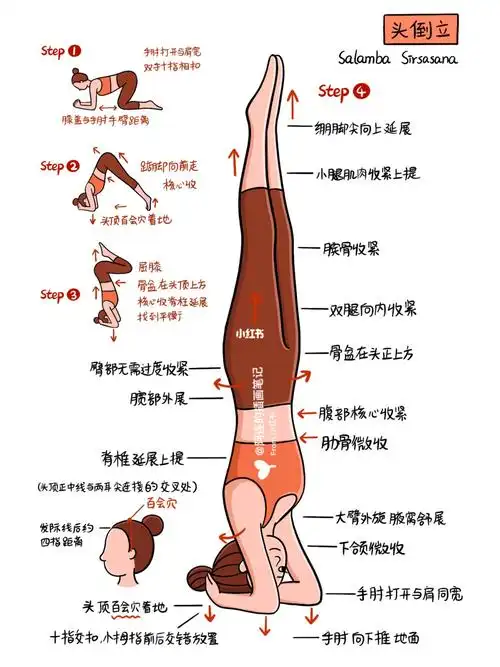 98插画师の瑜伽体式笔记00p40头倒立