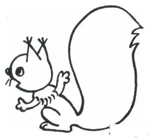 画法大尾巴的小松鼠简笔画图片怎么画简笔画教程松鼠吃松果简笔画图片