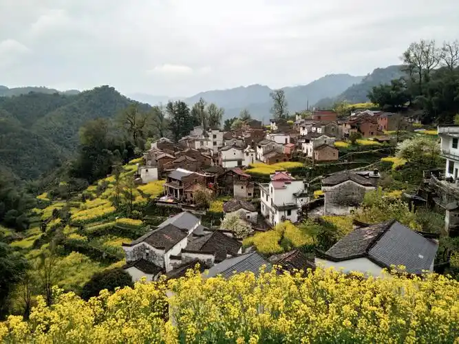 大山深处藏美景