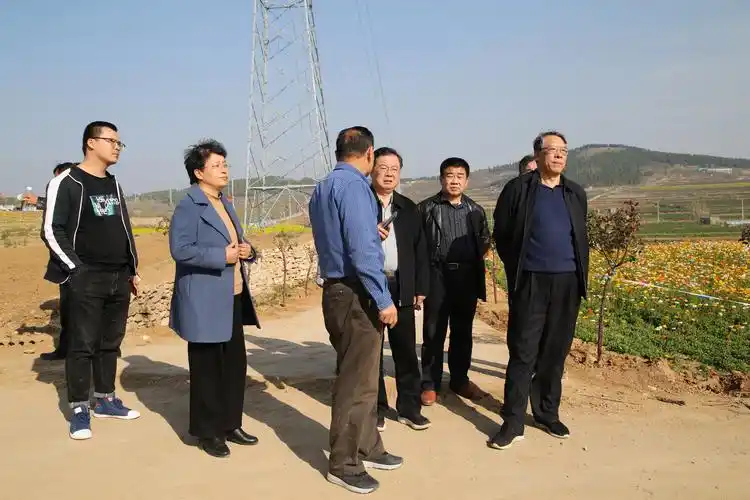 市农业农村局领导到我县视察"玫瑰花乡"田园综合体项目