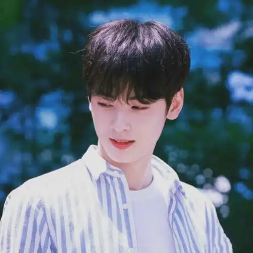 脸蛋天才车银优头像(一)-神颜贩卖铺-话本小说网