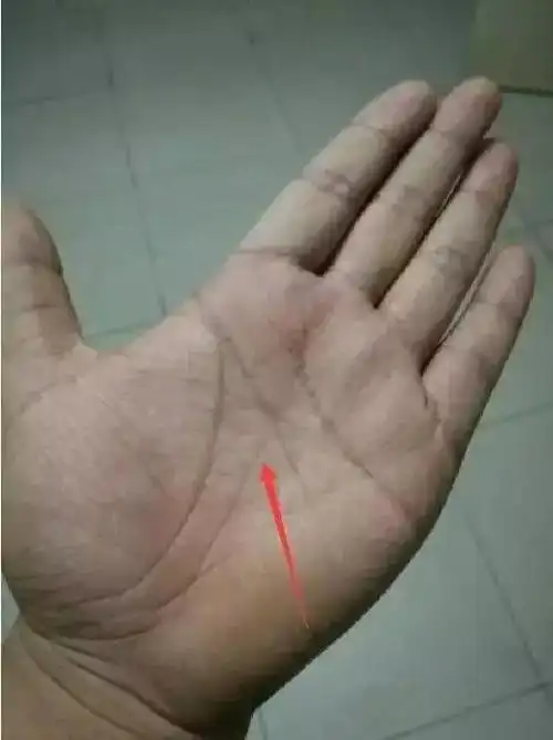 太厉害了!-手相研究 -易理讲堂