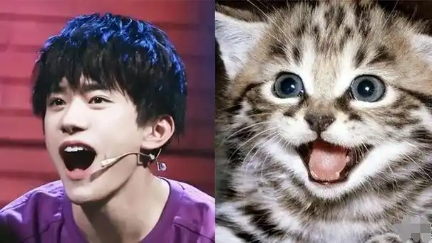 回顾:10位撞脸动物的明星王一博还能忍,看到易烊千玺简直是神似