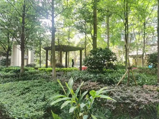 成都租房武侯区桐梓林电梯套一2800月