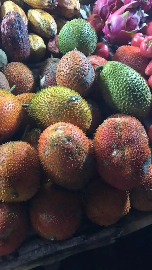 请问这是什么果?