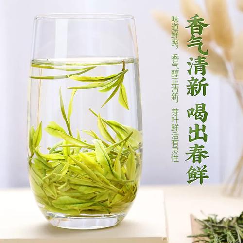 正宗安吉白茶2024新茶明前特级绿茶珍稀白茶高山云雾绿茶叶礼盒装 -