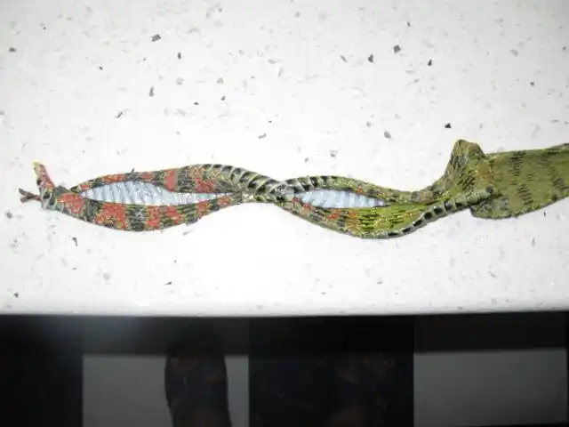 大家帮我认认这是什么蛇,要学名,谢谢,重庆长寿湖处发现的.