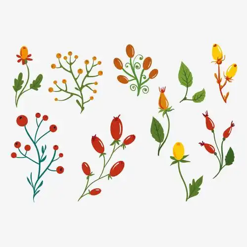 矢量图多种花朵图