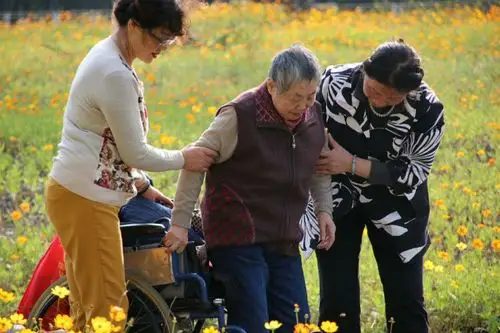 秋天的大宁公园,陪老人走走!