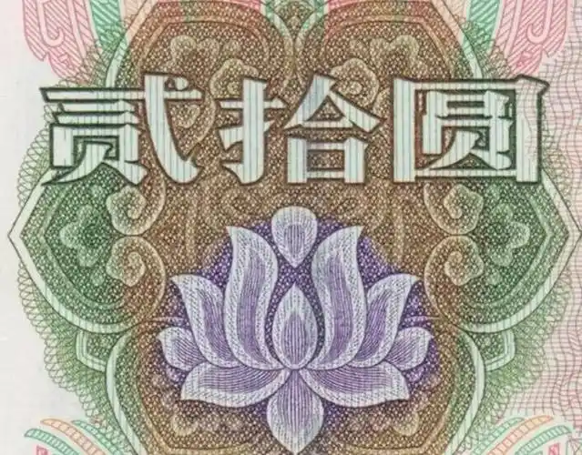 人民币上的花卉,你养过几种?