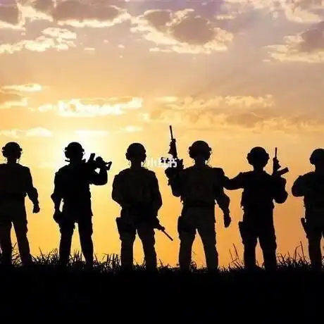 有人可以推荐一些帅气的,酷酷的女兵背影图,想拿来做头像,沉迷于军人