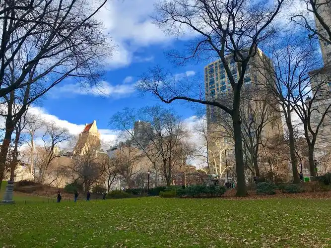 纽约中央公园风景随拍