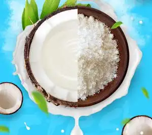 椰子粉孕妇可以喝的椰汁南园海南特产正宗320g速溶小袋装无糖精