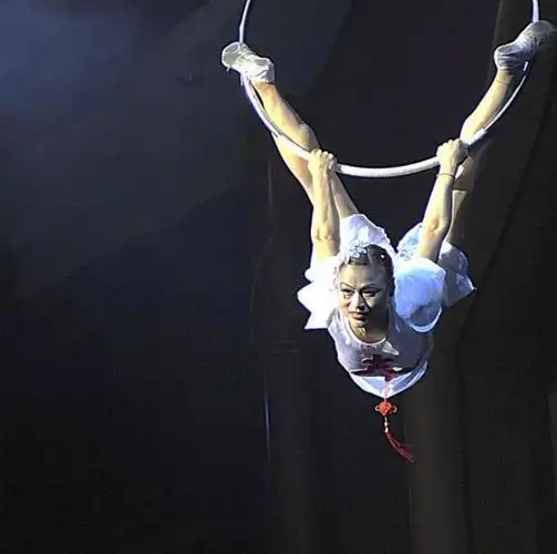 杂技女演员表演时高空坠亡的新闻不断出现,引起人们对杂技演员职业的