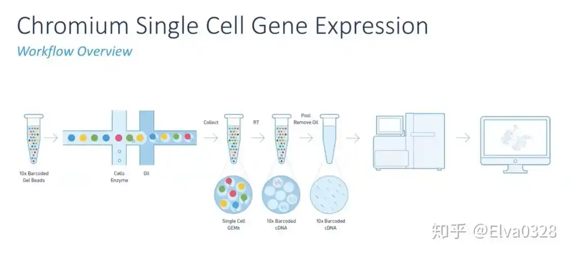 单细胞测序技术-01-背景,平台及原理