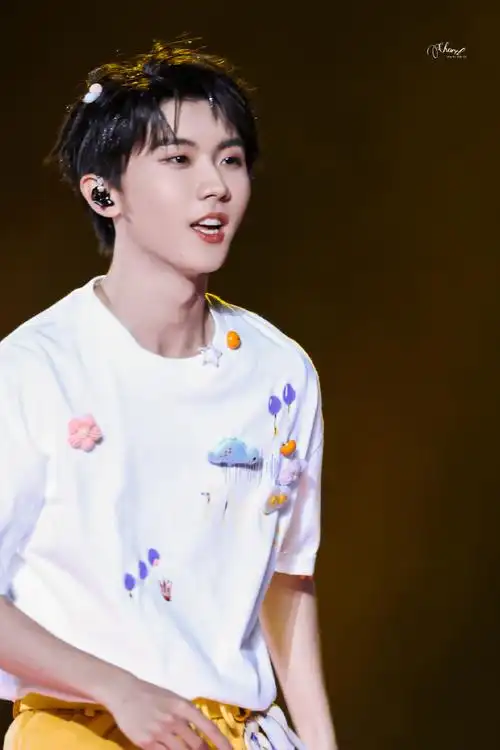 马嘉祺楼间楼演唱会##马嘉祺灿烂的花园