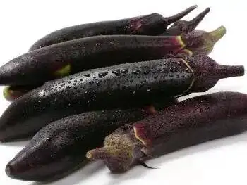 茄子是很多人喜欢吃的蔬菜,而且价格也不贵,营养还丰富,含有蛋白质