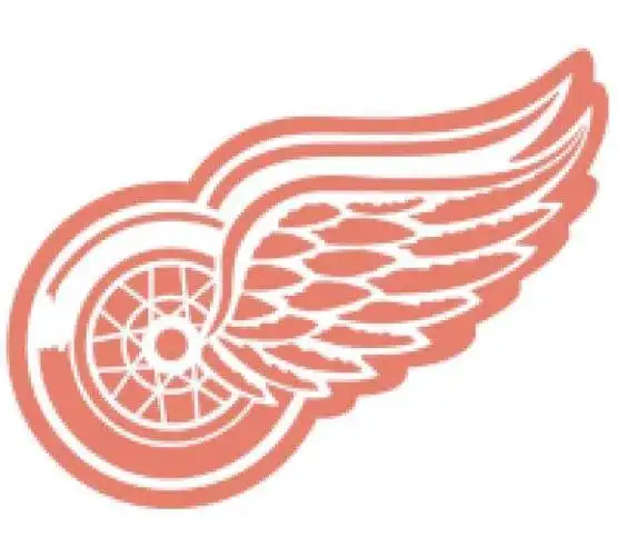 底特律红翅膀
