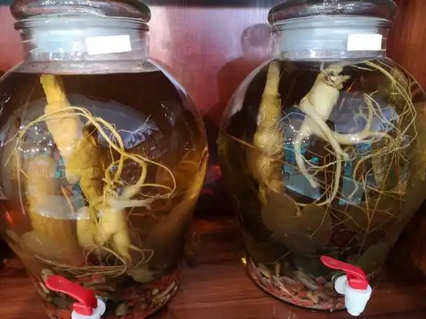 适合肾阳虚肾阴虚体质阴阳双调的人参酒如何泡